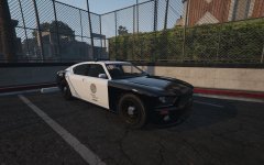 LSPD Buffalo: Now Slightly Less Garbage