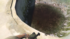 A suicidal cat? what?