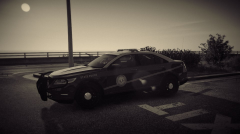 WVSP Ford Taurus #4