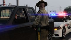 Do you know why I pulled you over, sir?
