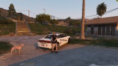 K9 Dog Alan wont be on the Photo :(