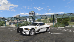 Los Santos Police