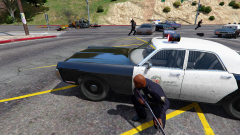 Dramatic end of a car chase