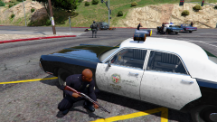Dramatic end of a car chase