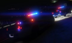 Sandy Shores Sobriety Checkpoint
