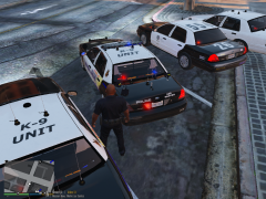 GTA5 K9 Cvpi.png