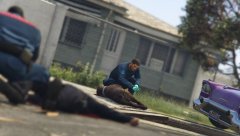 Bro I don't think we're veterinarians