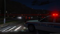 Drug Bust