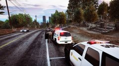 Sheriff assisting Park Rangers