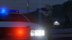 Improvised Roadblock