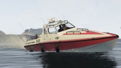 Coast Guard in action
