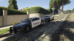 Two Dodge Chargers at a domestic disturbance