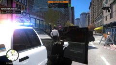 Apprehending a reckless driver