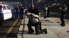 Let The Real Police Do Their Job Son.