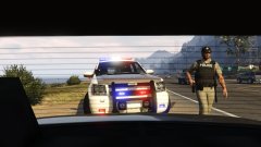 State Trooper