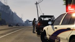 Traffic Stop