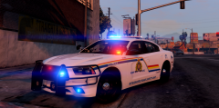 RCMP Skin