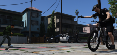 LSPD9.png