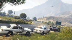 Officer need backup for traffic stop