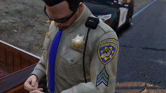 SAHP1.png