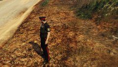 Halton Police EUP Compatibility