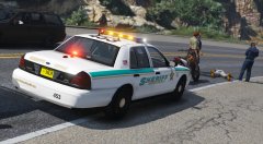 Traffic stop turns deadly