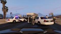 Attempted arrest