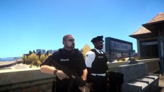 LCPD Transit Unit at Lynch St Station