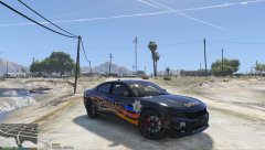 learning to make skins