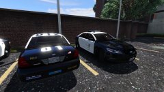 Gang Unit and a Taurus