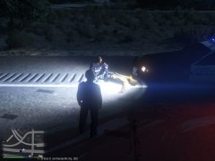 GTA5 2016-05-03 20-27-02-74.jpg
