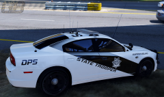 Department of Public Safety