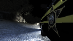 GTAIV 2016-05-21 19-23-56-34.png