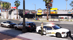 LSPD and LSSD on scene.
