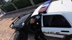 In Canterlot, Once you join the Police you'll never feel the same