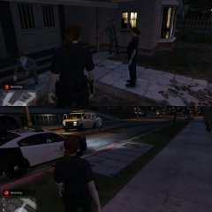 Homicide investigation