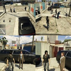 From cats to bucherin