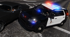 LSPD20.png