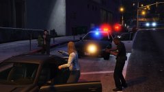 Drop the gun, now !!