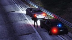 Another traffic stop