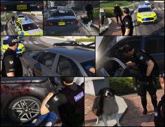 Ripped him a new one