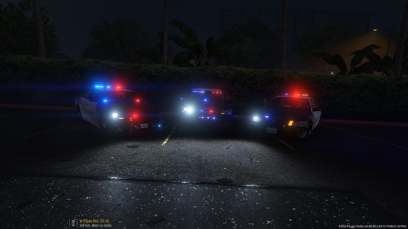 Police Vics