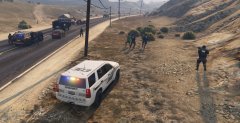 FIB SWAT teams take down suspect who shot at officers
