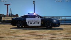 2015 Mustang LCPD