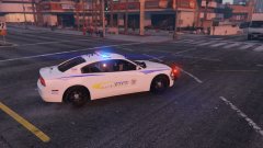 Larimer County Sheriff's Office Charger