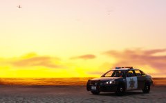 Impala On The Beach 2