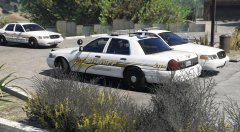 Blaine County and Los Santos County Sheriff Units