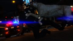 10-13 10-13 Officer Under Attack!