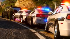 Officer need assistance