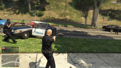 Slicktop Variant (CHP Model)